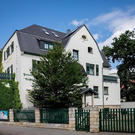 Villa Angelika Дрезден Екстер'єр фото