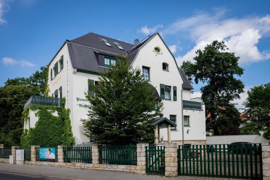 Villa Angelika Дрезден Екстер'єр фото